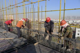 金昌市行政中心工程全速推進，一建公司聚力攻堅顯擔(dān)當(dāng)